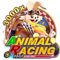 Facai : ANIMAL RACING - SOLIDPLAY99