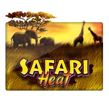 Joker123 : Safari Heat - SOLIDPLAY99