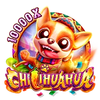 Facai : CHILIHUAHUA - SOLIDPLAY99