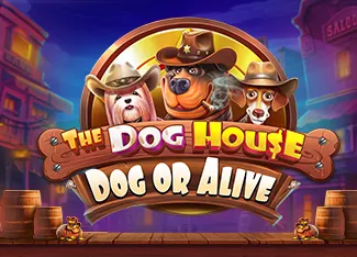 Pragmatic : The Dog House - Dog or Alive - SOLIDPLAY99