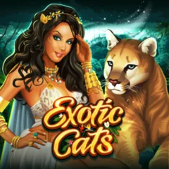 Exotic Cats - SOLIDPLAY99