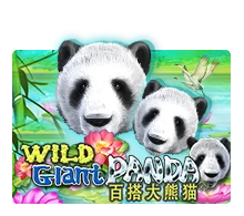 Joker123 : Wild Giant Panda - SOLIDPLAY99