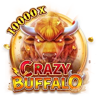 Facai : CRAZY BUFFALO - SOLIDPLAY99