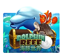Joker123 : Dolphin Reef - SOLIDPLAY99