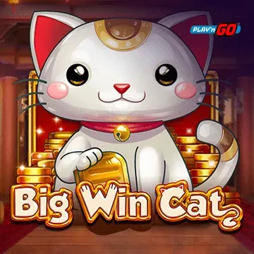 Big Win Cat - SOLIDPLAY99