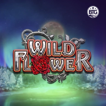 Bigtime : Wild Flower - SOLIDPLAY99