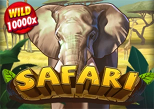 Safari - SOLIDPLAY99