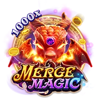 Facai : MERGE MAGIC - SOLIDPLAY99