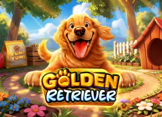 Pragmatic : Golden Retriever - SOLIDPLAY99