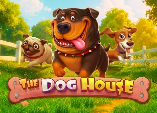 Pragmatic : The Dog House - SOLIDPLAY99