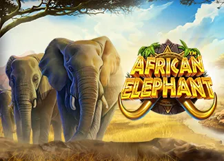 Pragmatic : African Elephant - SOLIDPLAY99